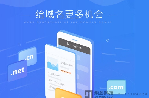 NamePre平台新手释放域名操作指南