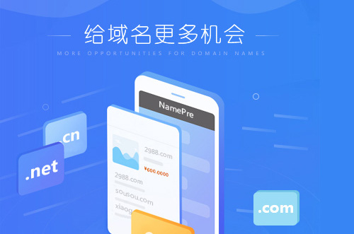NamePre平台新手释放域名操作指南