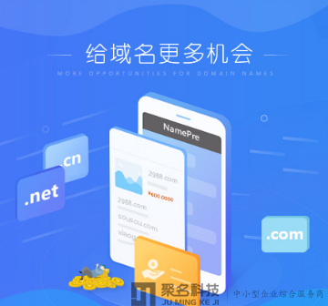 奔走相告！三数字精品域名200.net超49万被秒！