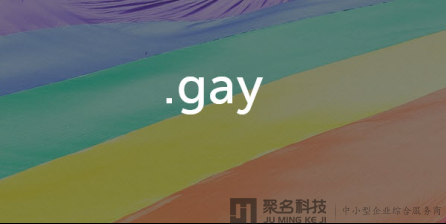 又一新域名问世?外媒称.gay域名或将于10月份推出