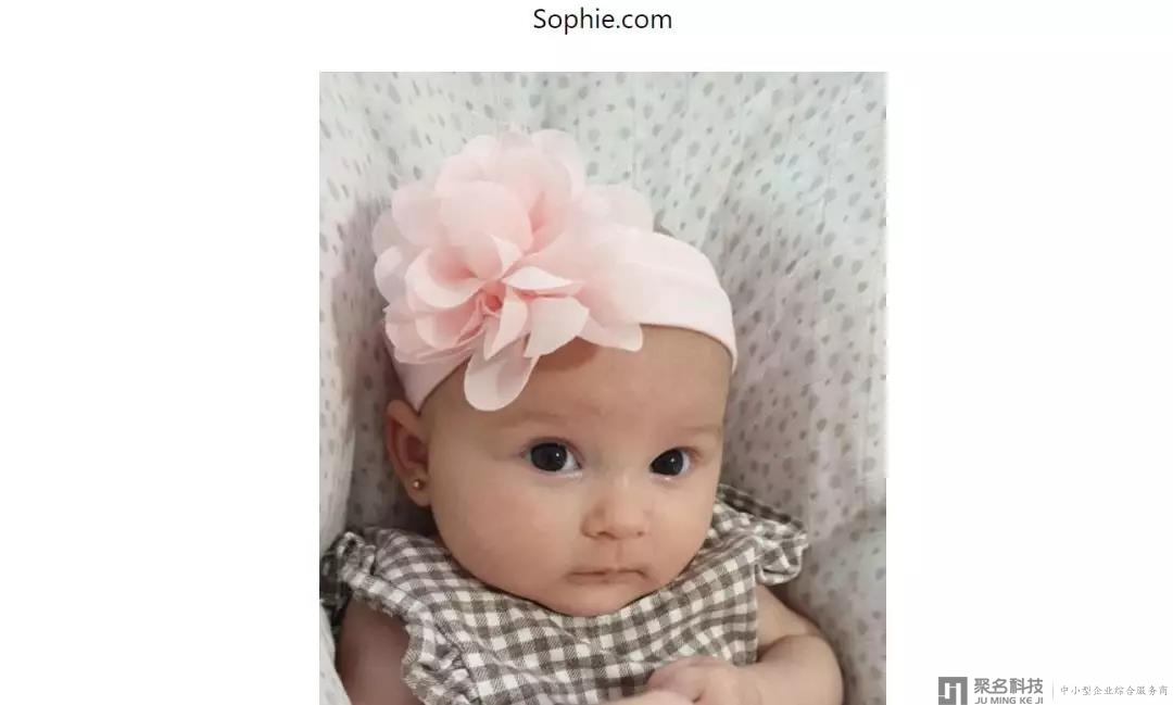 域名投资人Andy Booth收购Sophie.com