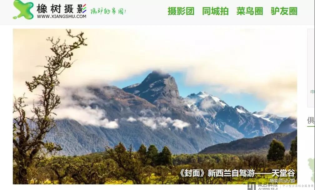 网站、域名打包售出，橡树摄影网易主