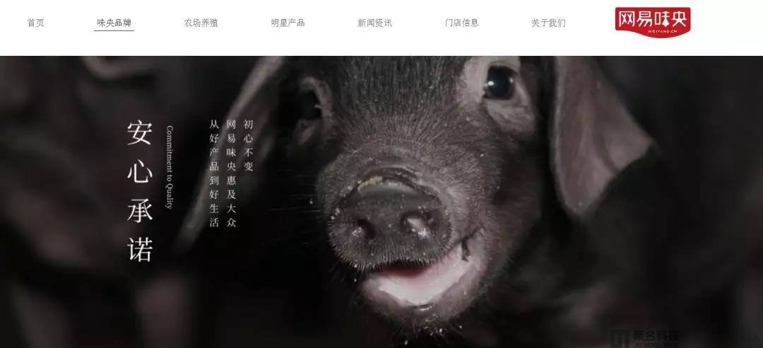 网易味央猪项目落户绍兴：建成后年出栏50万头猪