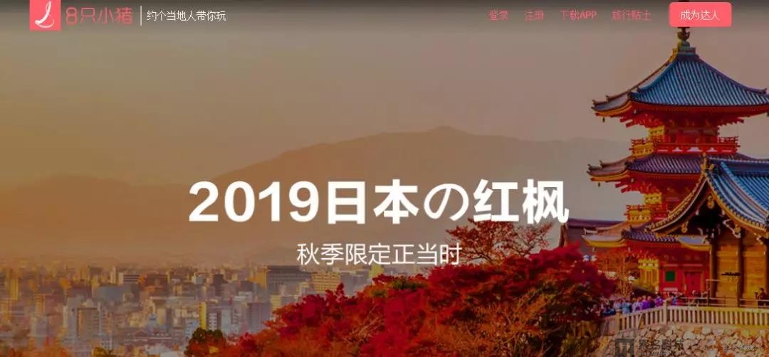 【8只小猪】近日已完成数百万美元融资